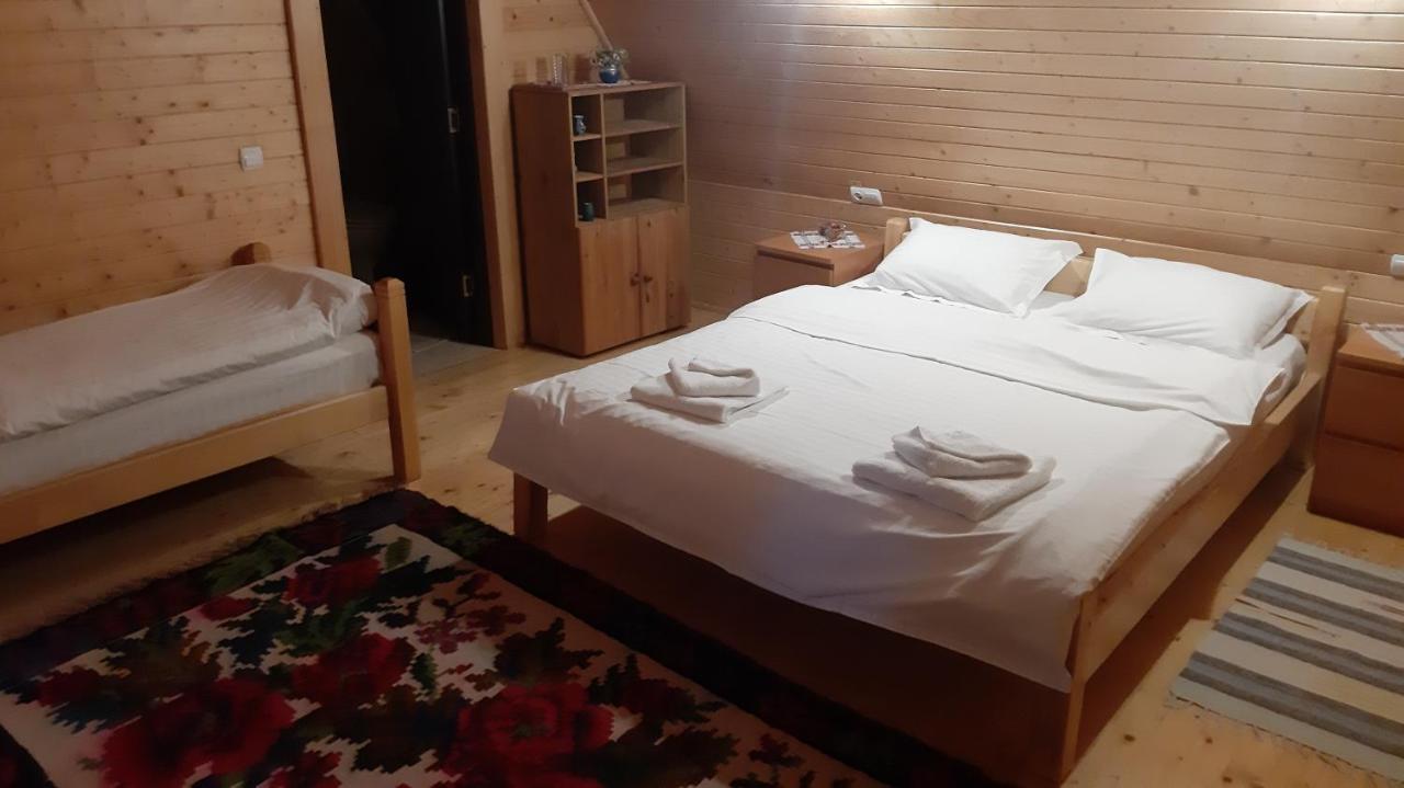 Casa Buga Hotel Vişeu de Sus Екстериор снимка